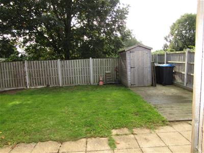 Picture 20